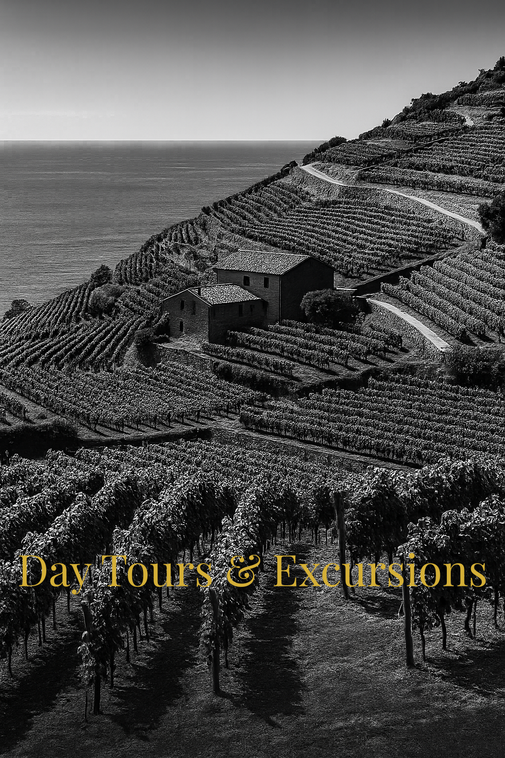 Day Tours & Excursions